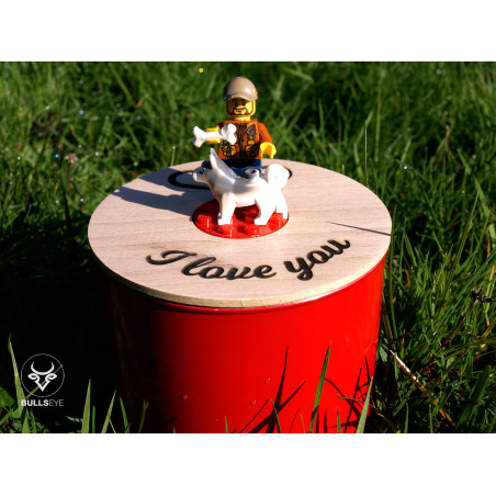 Présentation Lego homme et chien Présentation Lego homme et chien