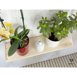 étagère pour plantes