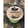 tirelire nature plante arbre tirelire nature plante arbre