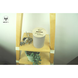 tirelire réaliser voeux