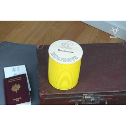 Customised piggy bank for holidays, trips and outings...